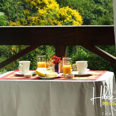 Hibiscus Prumirim Chales อูบาตูบา ภายนอก รูปภาพ